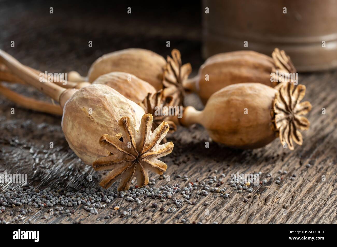 Dried poppy heads with seeds, closeup Stock Photo