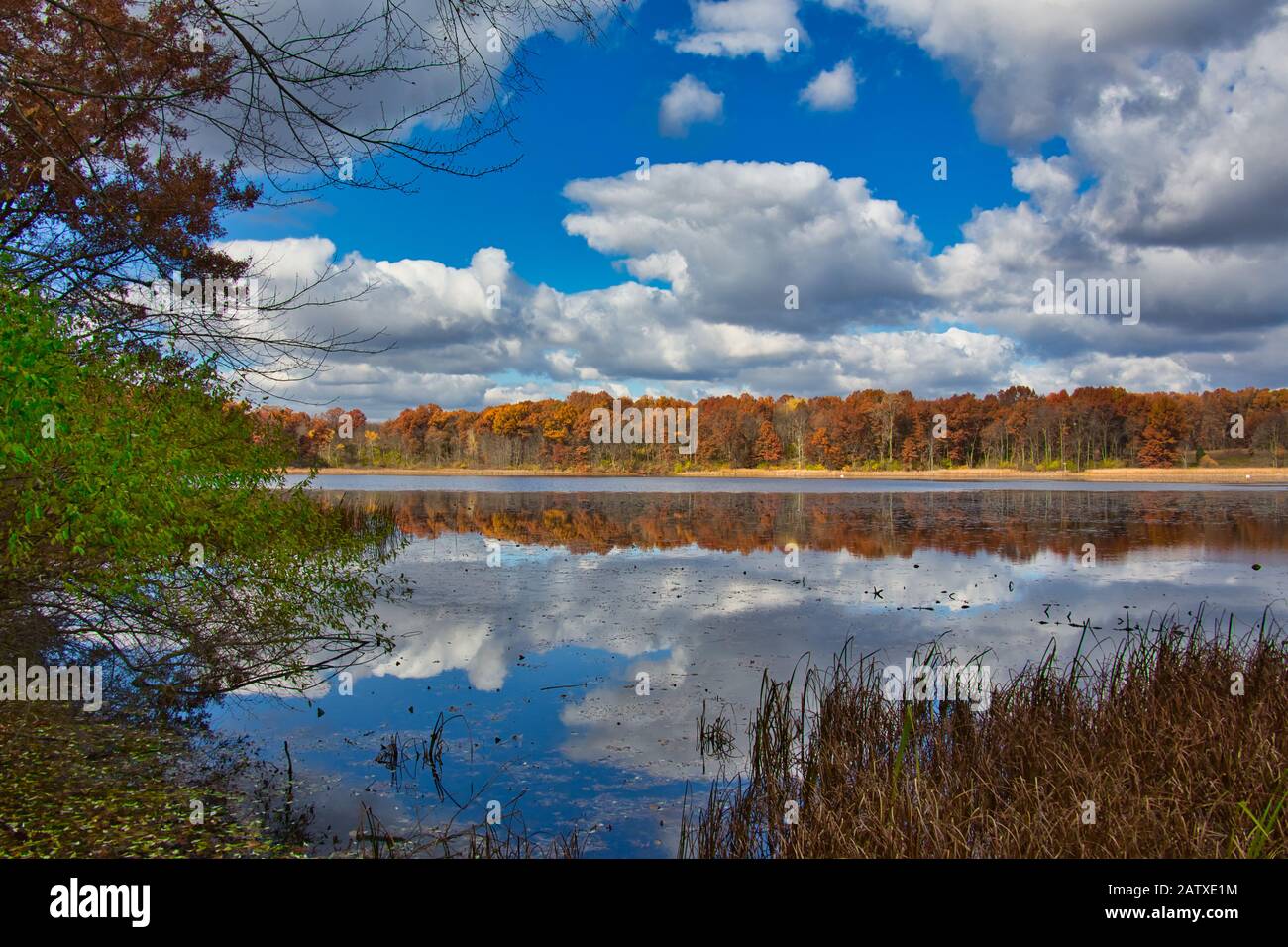 Kensington Metropark's Wildwing Lake on a beautiful, sunny, fall morning, with a cloud-filled sky reflected in its waters. Stock Photo