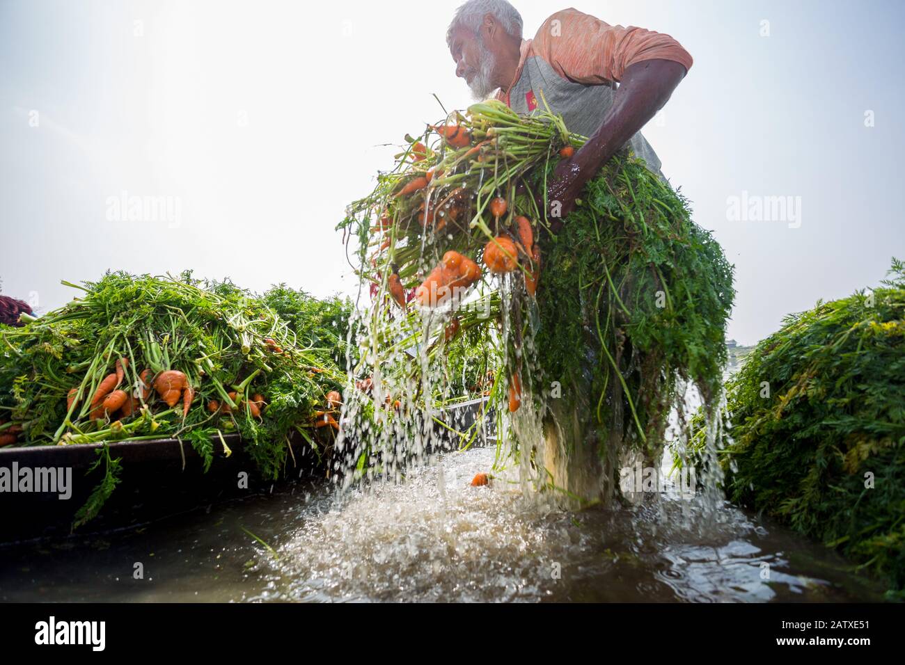 Bangladesh January 24, 2020 A buyer washing waste carrots stalks for
