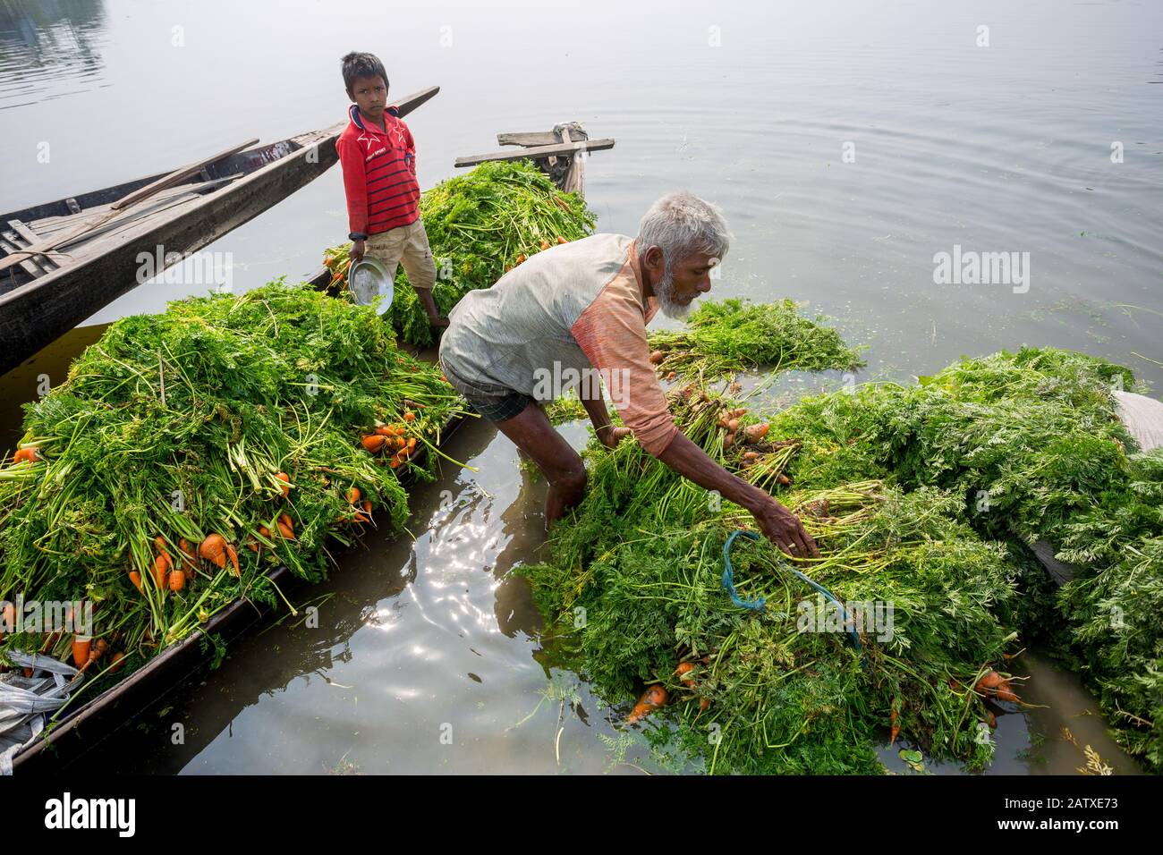 Bangladesh January 24, 2020 A buyer washing waste carrots stalks for