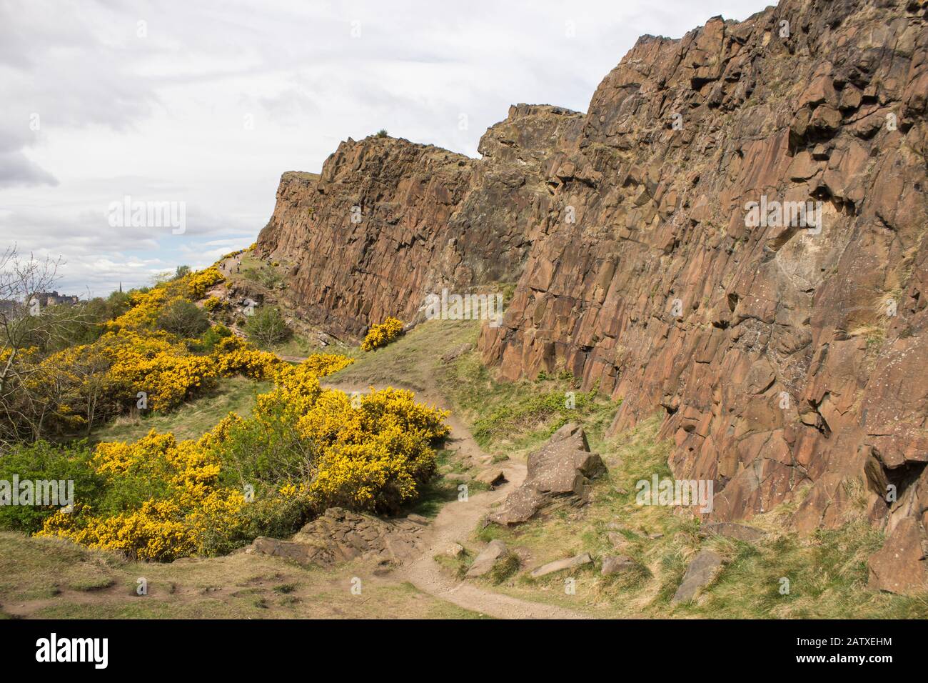 A trail following along the base of the cliffs of the Salisbury Crags with gorse in full bloom on the other side, in Holyrood Park, Edinburgh Stock Photo