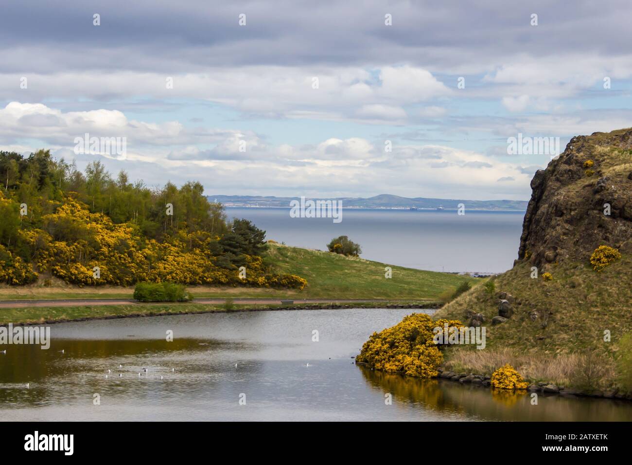 A view over the artificial Loch of Dunsappie in Hollyrood Park, Edinburgh, with the Firth of Forth in the Background and Gorse bushes Stock Photo