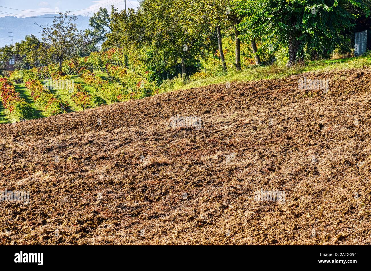 Field clods of earth hi-res stock photography and images - Alamy
