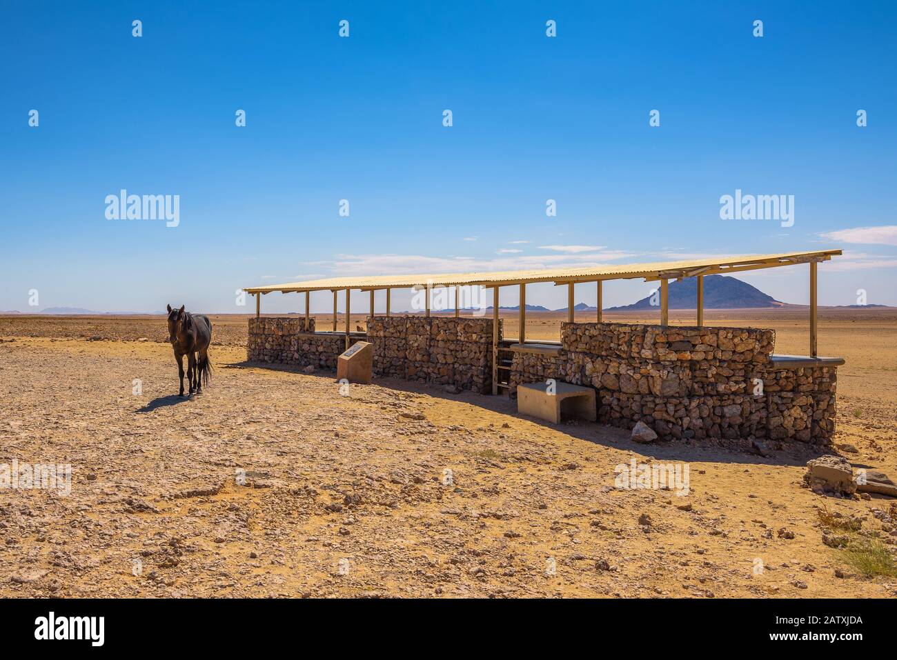 Wild horse of the Namib desert at observation viewpoint near Aus, south Namibia Stock Photo