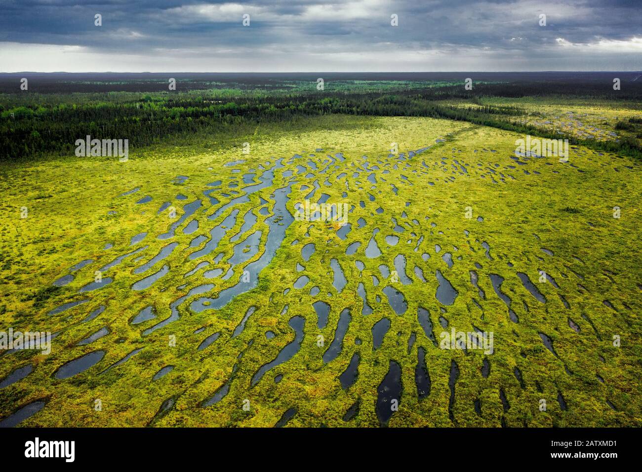Swamp at James Bay Road Stock Photo Alamy