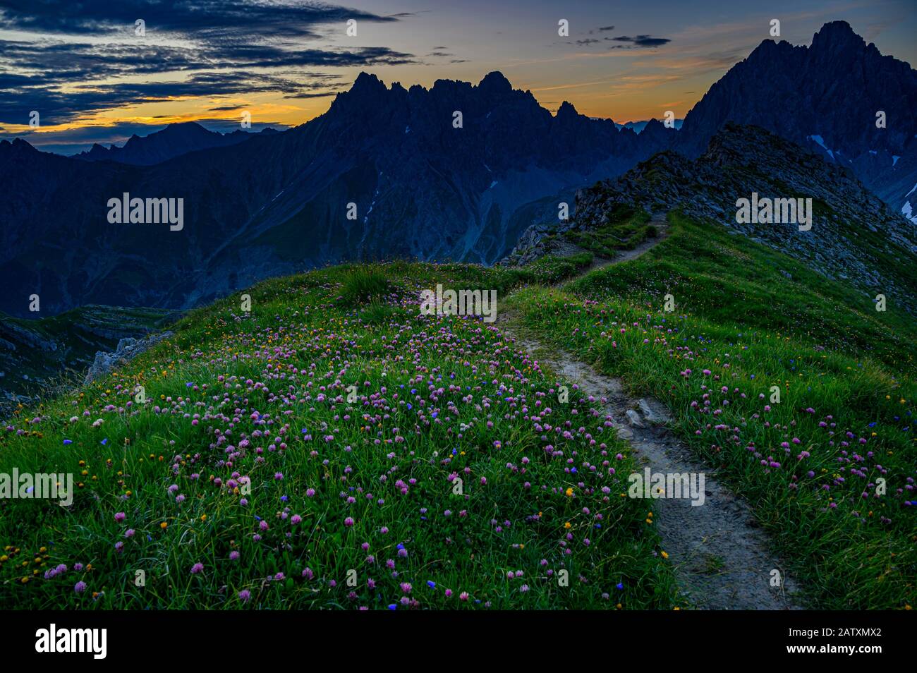 Summer meadow sunrise in hi-res stock photography and images - Alamy