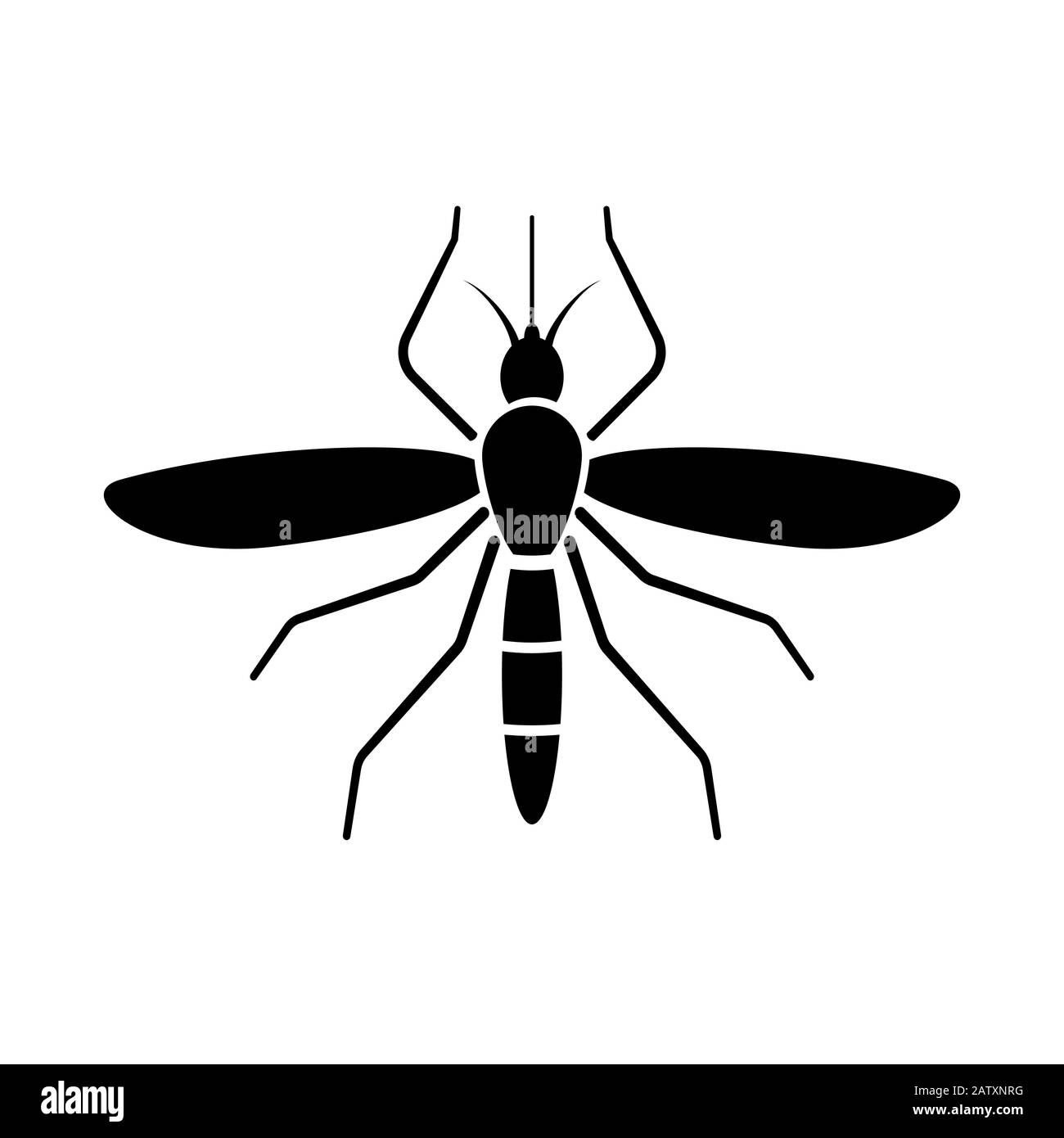 Tiger mosquito drawing hires stock photography and images Alamy