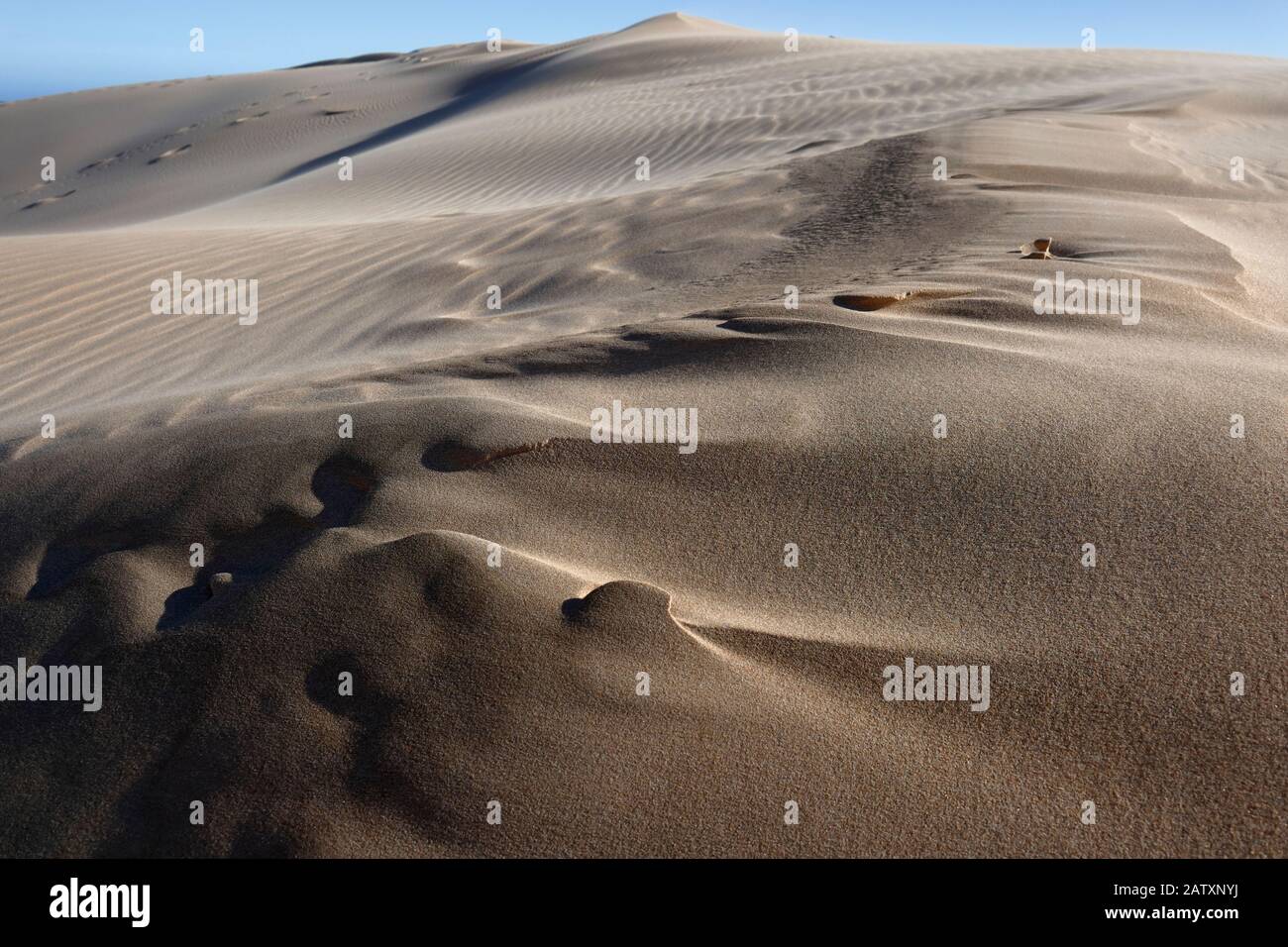 Sand ripples and wind sculptured patterns, shapes and textures in the towering sand dunes of Sardinia Bay, Port Elizabeth, Eastern Cape, South Africa Stock Photo
