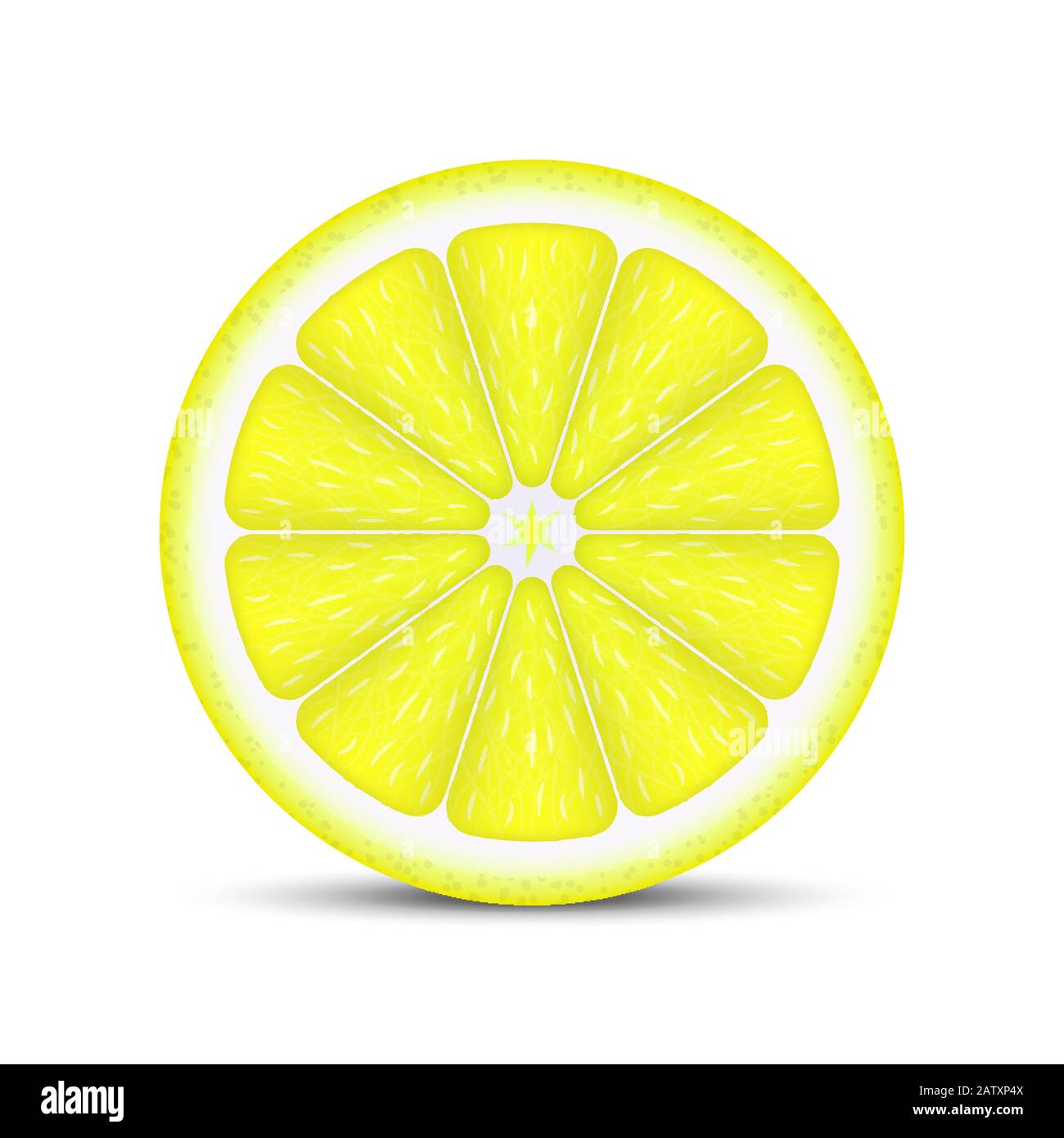 Realistic lemon slice isolated on white background Stock Vector Image ...