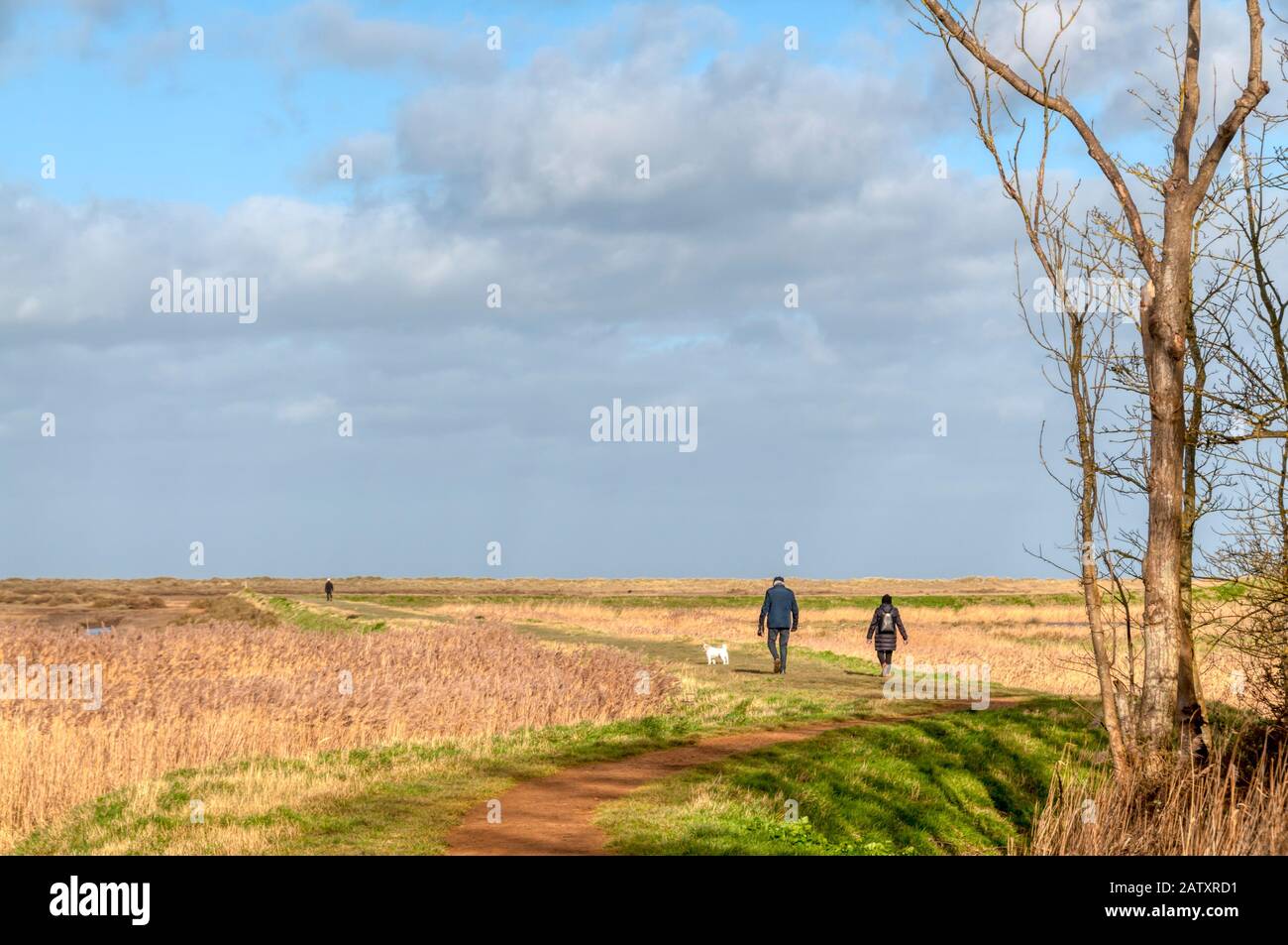 A couple exercising their dog along Gypsy Lane crossing the coastal marshes at Titchwell on the north Norfolk coast on a bright February day. Stock Photo