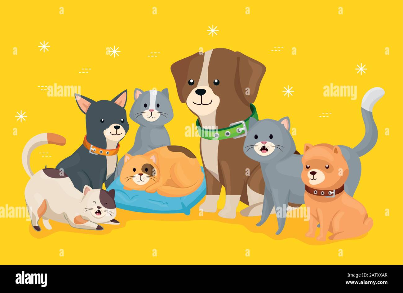group of little dogs and cats Stock Vector Image & Art Alamy