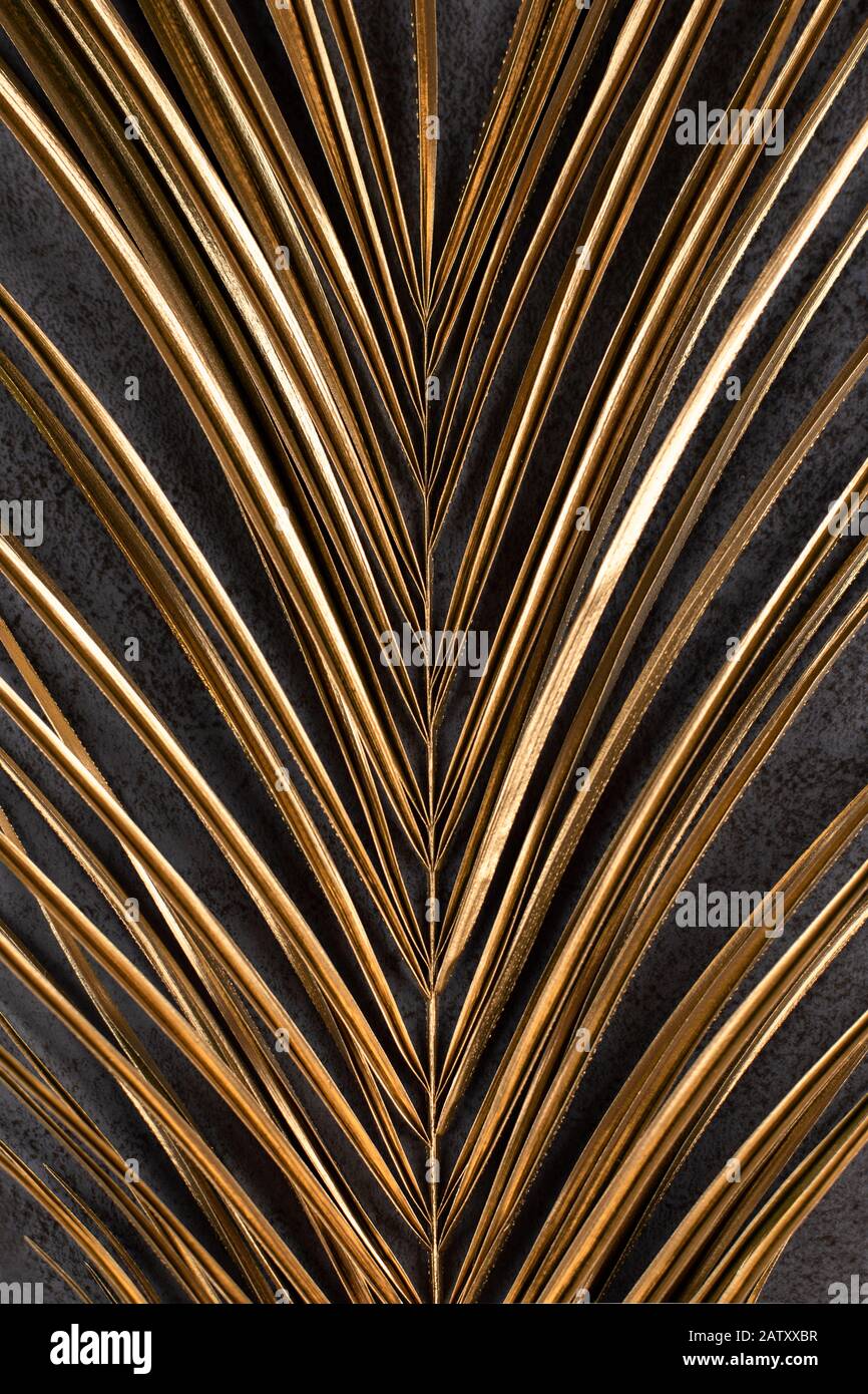 Golden palm leaf hi-res stock photography and images - Alamy