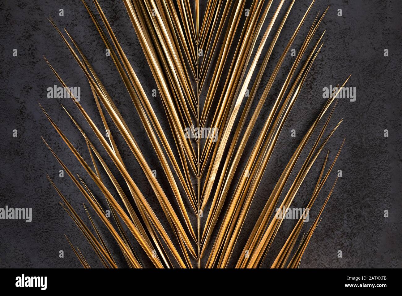 closeup of golden palm leaf on dark grey background Stock Photo - Alamy