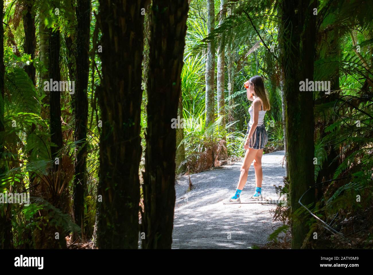 Attractive teenage girl on path of bush walk highlighted between silhouettes of trees and ferns in McLaren Falls Park, Tauranga New Zealand. Stock Photo
