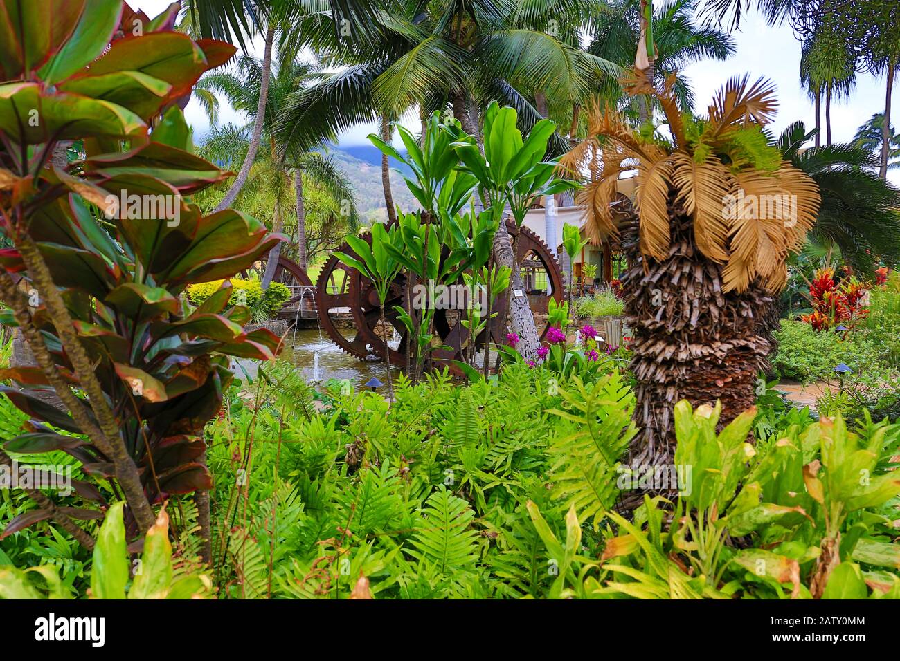 Maui Tropical Plantation, Maui, Hawaii, USA Stock Photo Alamy