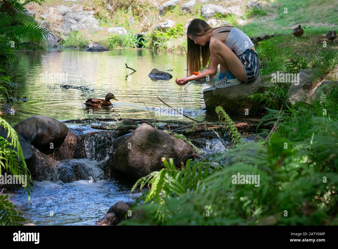 Young woman kneeling by shady stream catching water spilling from her hands to drink in McLaren Falls Park, Tauranga New Zealand. Stock Photo