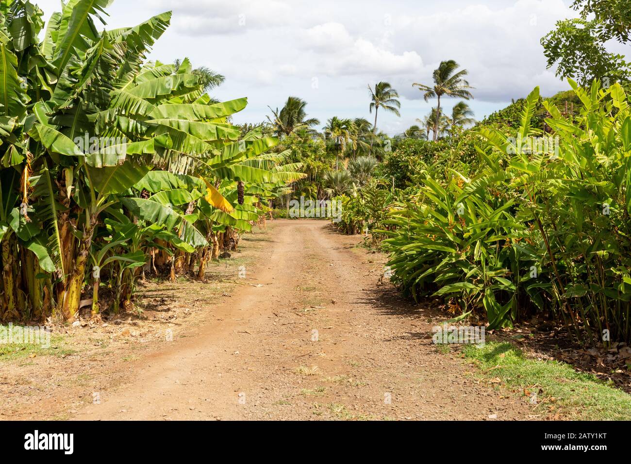Maui Tropical Plantation, Maui, Hawaii, USA Stock Photo Alamy