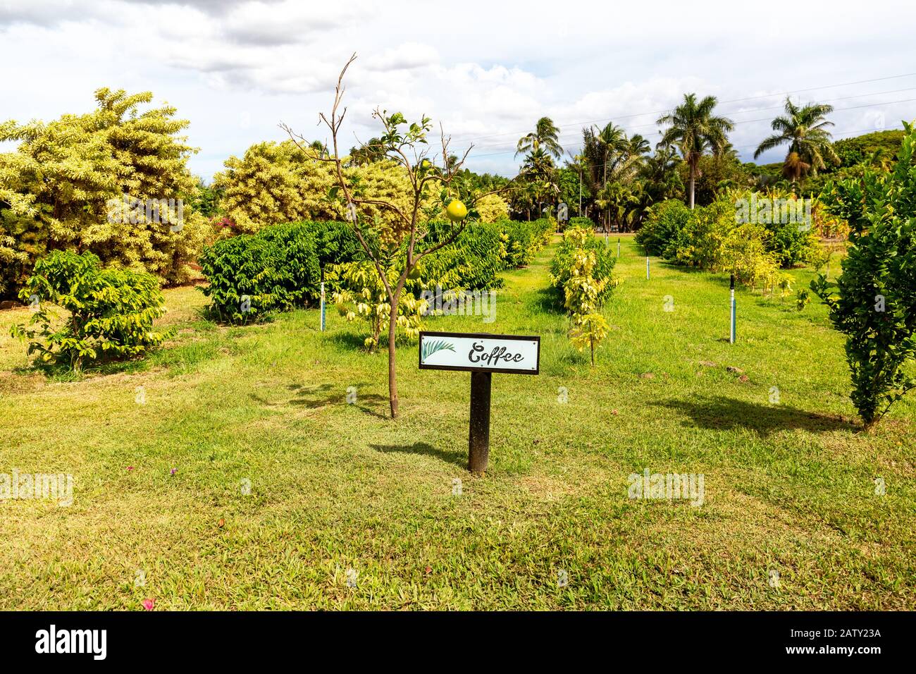 Maui Tropical Plantation, Maui, Hawaii, USA Stock Photo Alamy