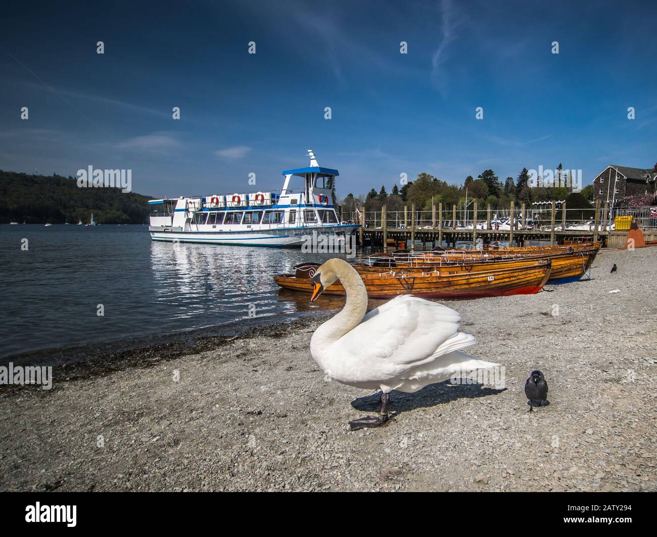 The Black Swan Cumbria High Resolution Stock Photography and Images - Alamy