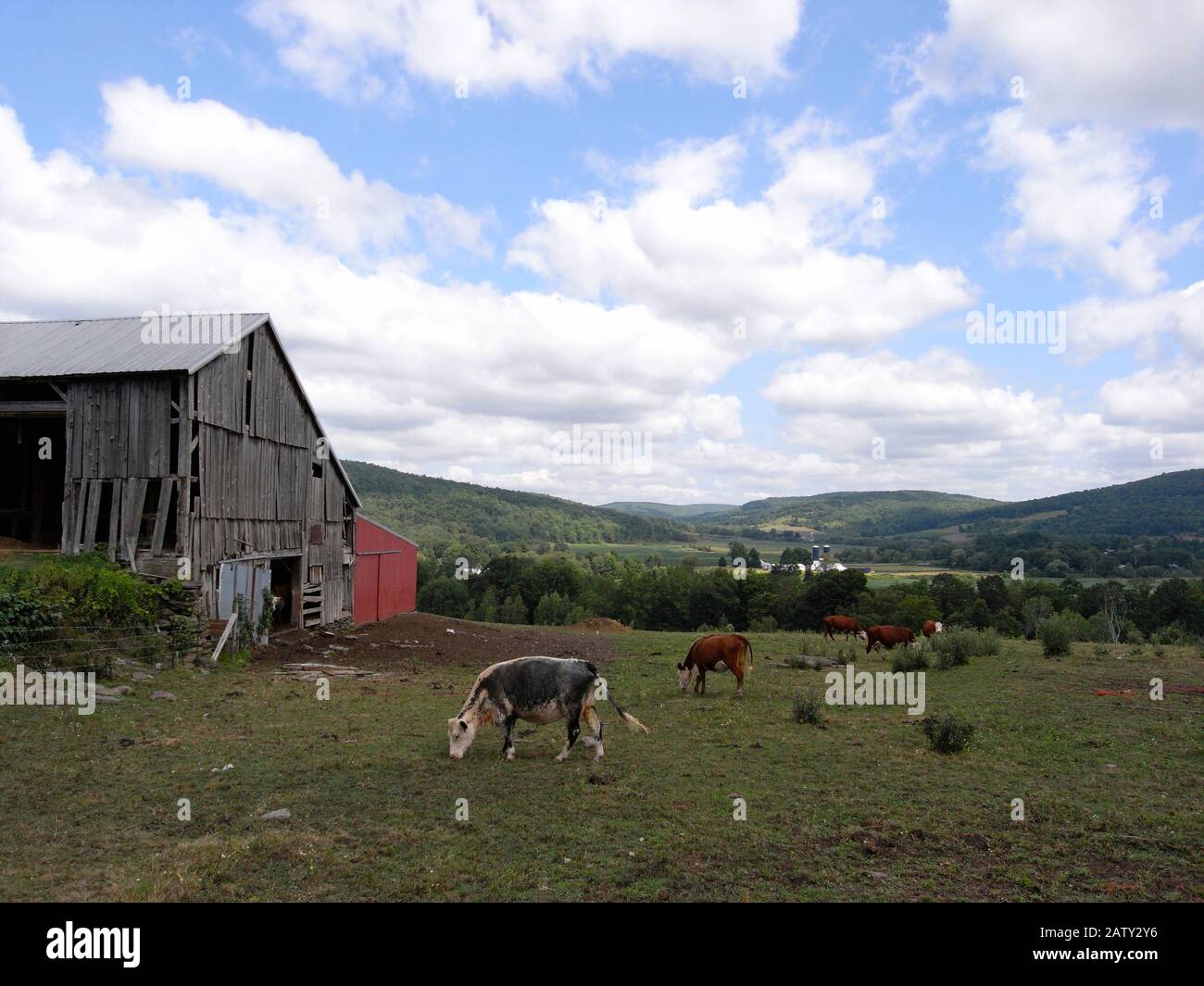 Dairy Farm in Upstate New York Stock Photo - Alamy