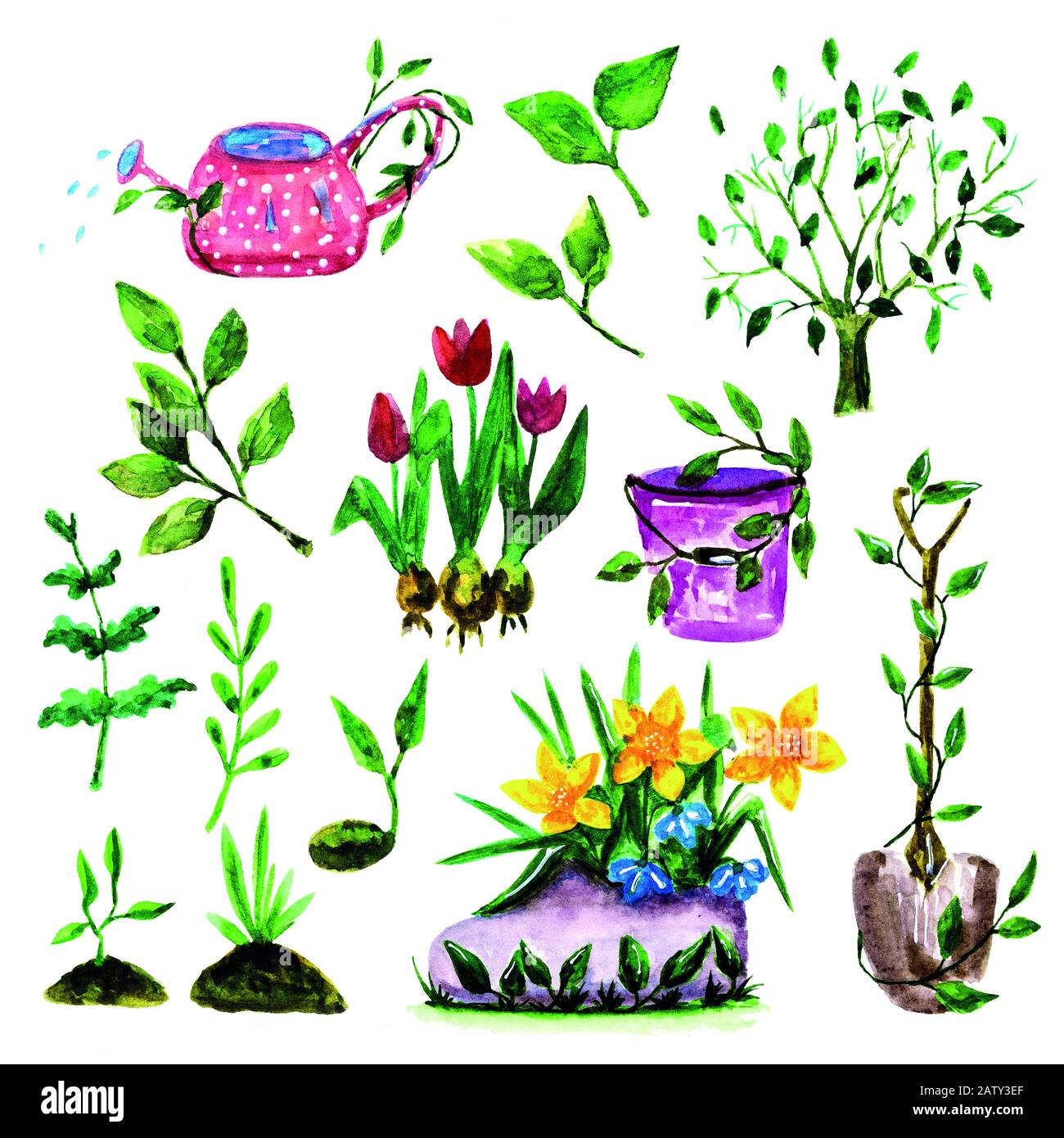 set of hand drawn spring gardening tools. watercolor illustration Stock ...