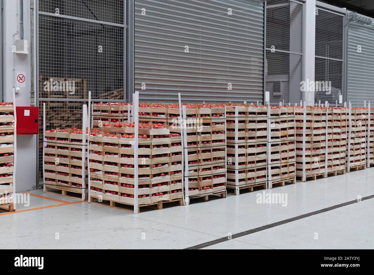 Crates of Tomatoes at Pallets in Warehouse Stock Photo