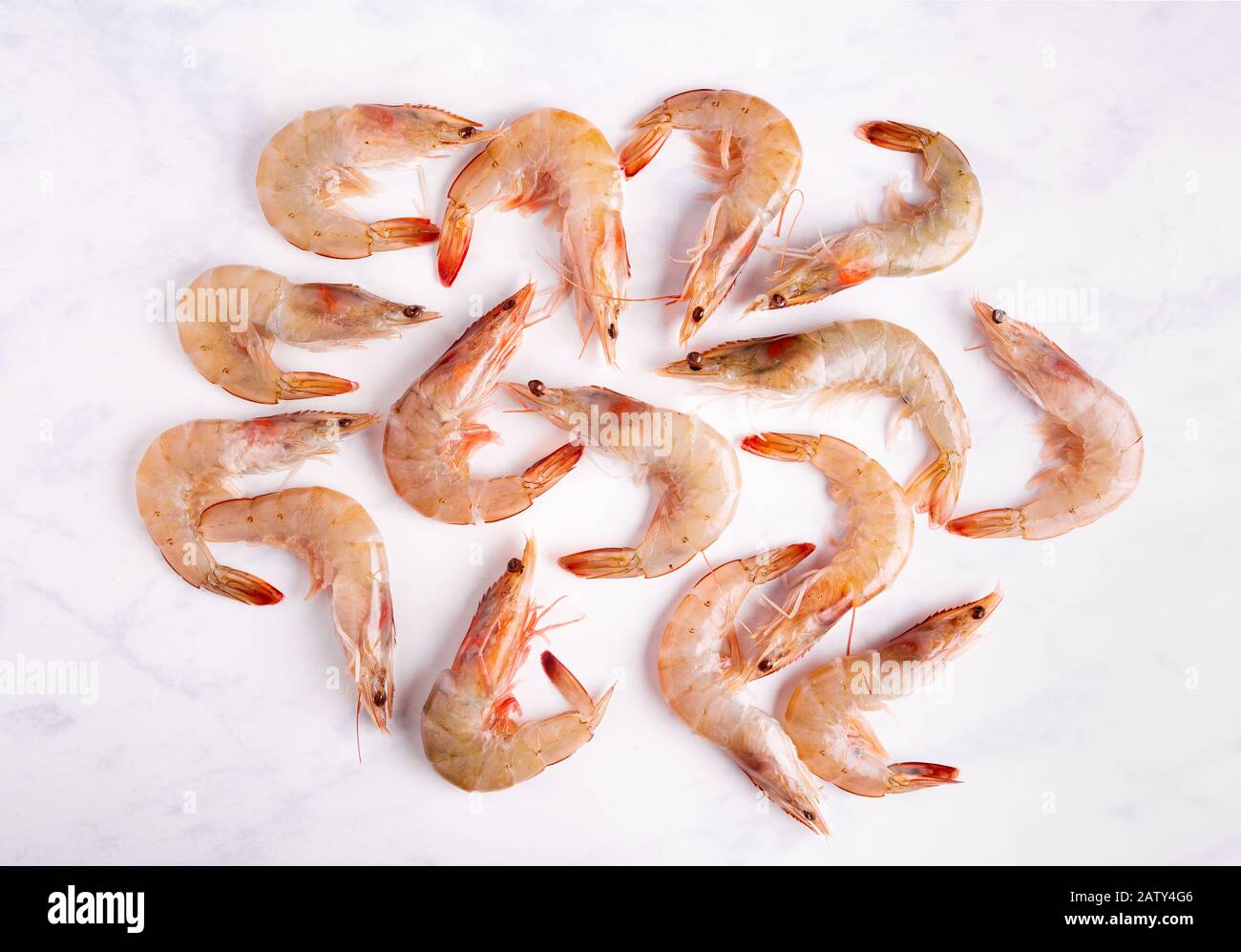 Overhead view of raw shrimp on a marbled surface Stock Photo