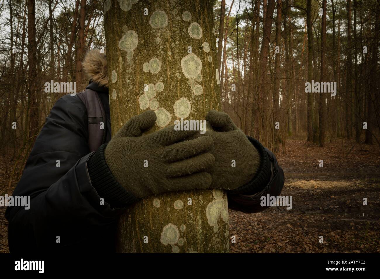 Man embracing a sick tree Stock Photo