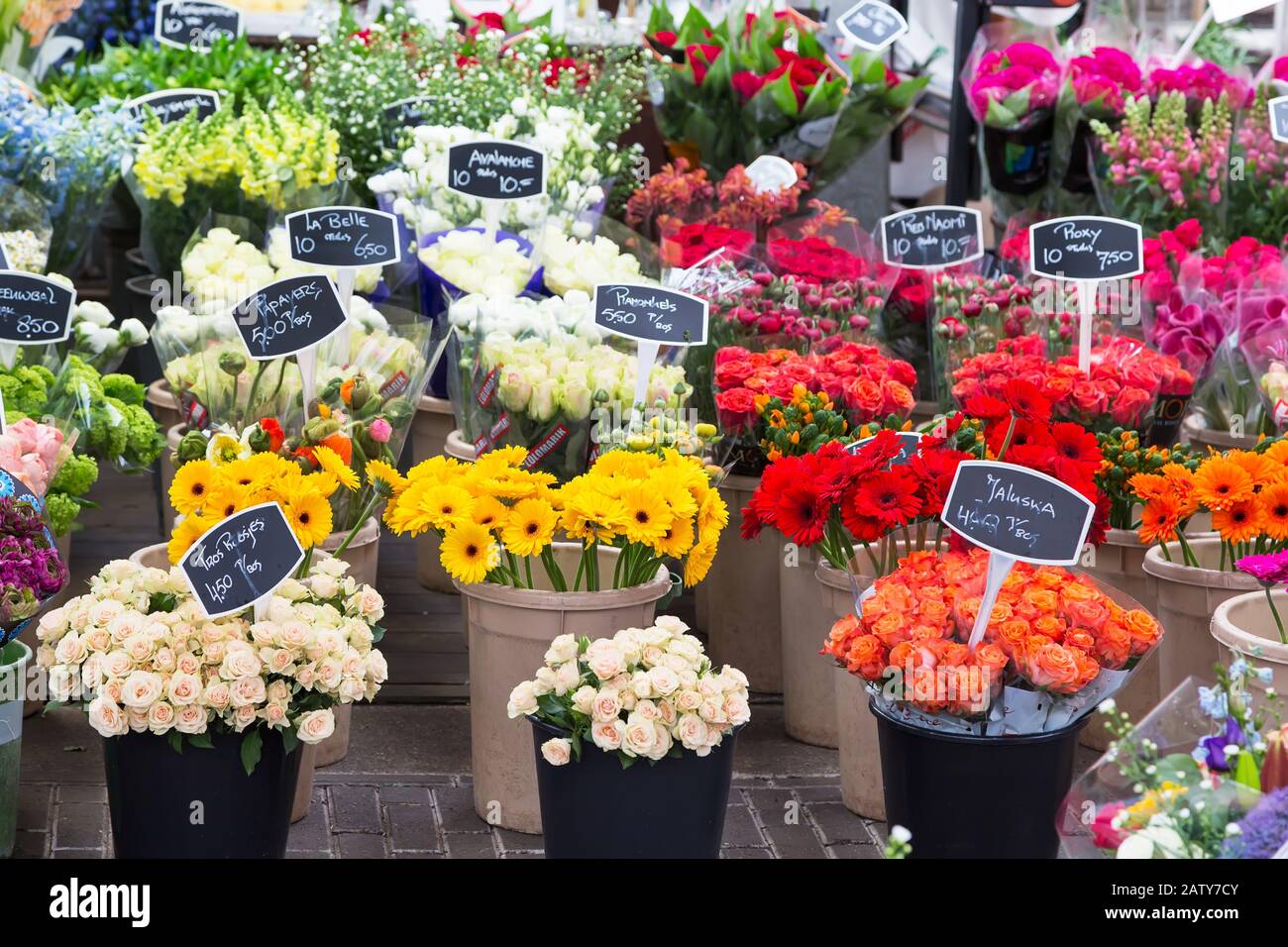 Flowers for sale at Dutch flower market, Amsterdam, Holland Stock Photo