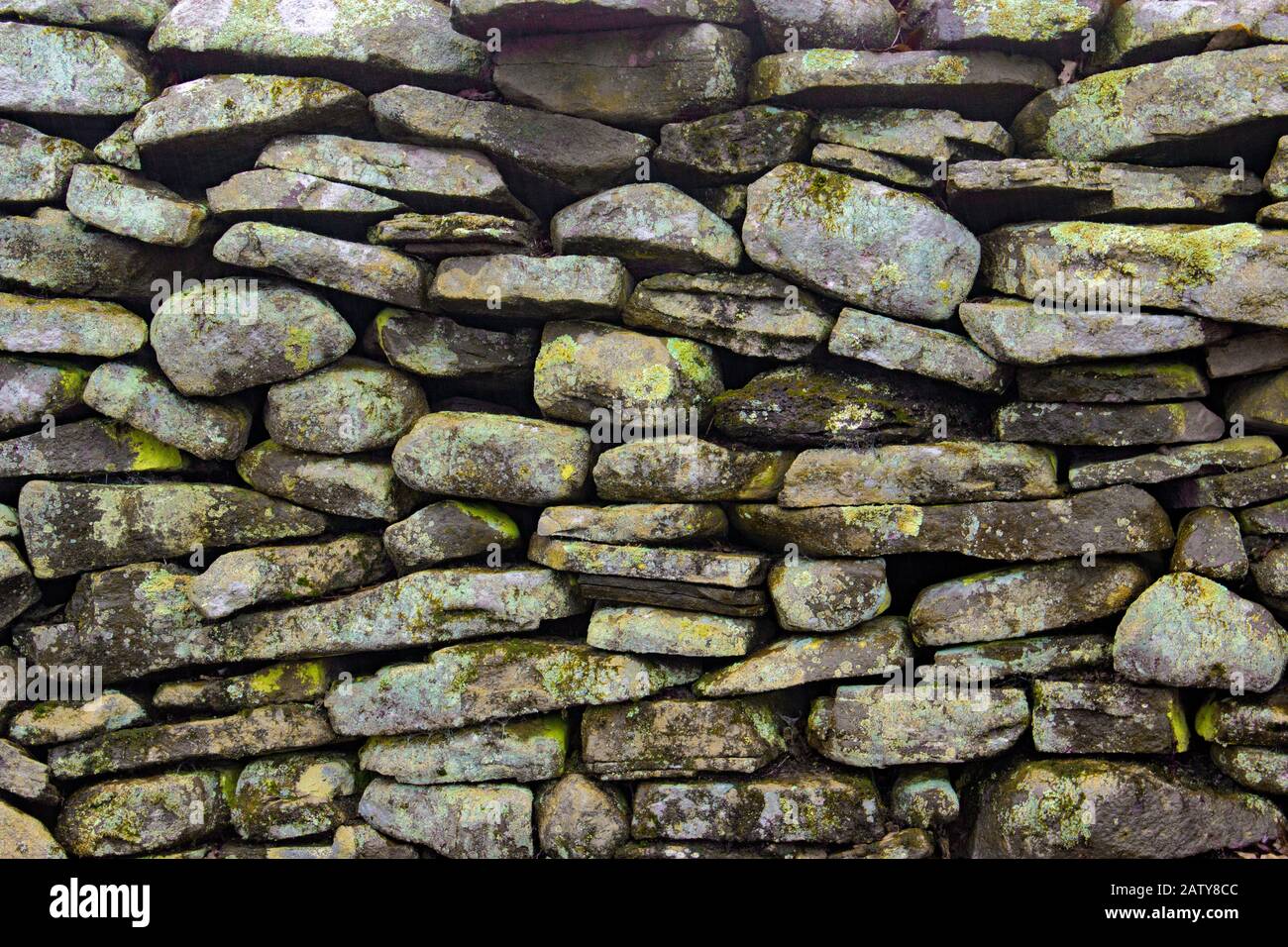 A stone fence with lichens and moss in Pennsylvania’s Pocono Mountains.  Originally build in the 19th century to designate land boundaries and to cont Stock Photo