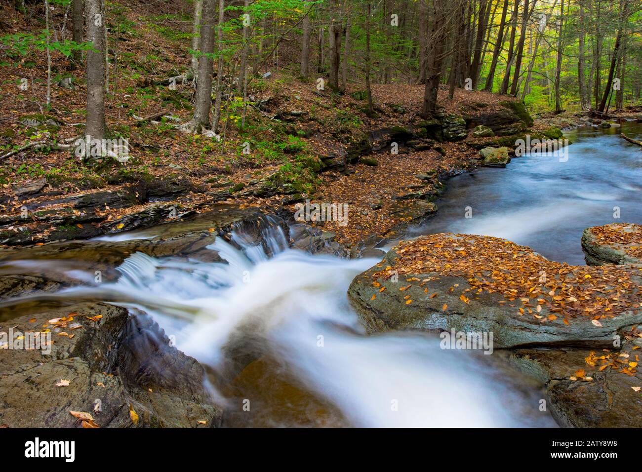 Double Run is a cold water small native trout stream in World’s End