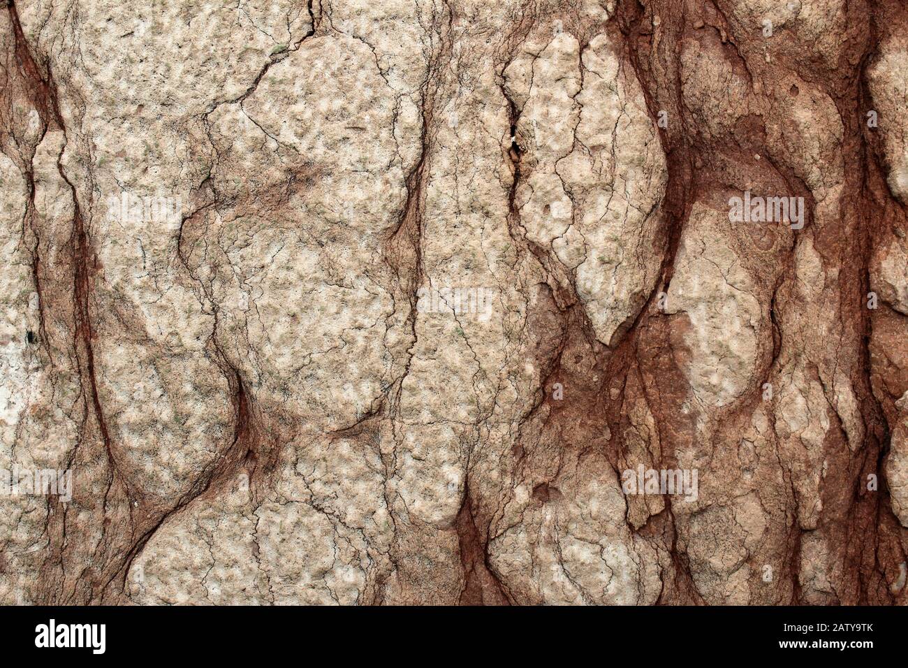 Red nodular limestone rough bush hammered surface Stock Photo Alamy