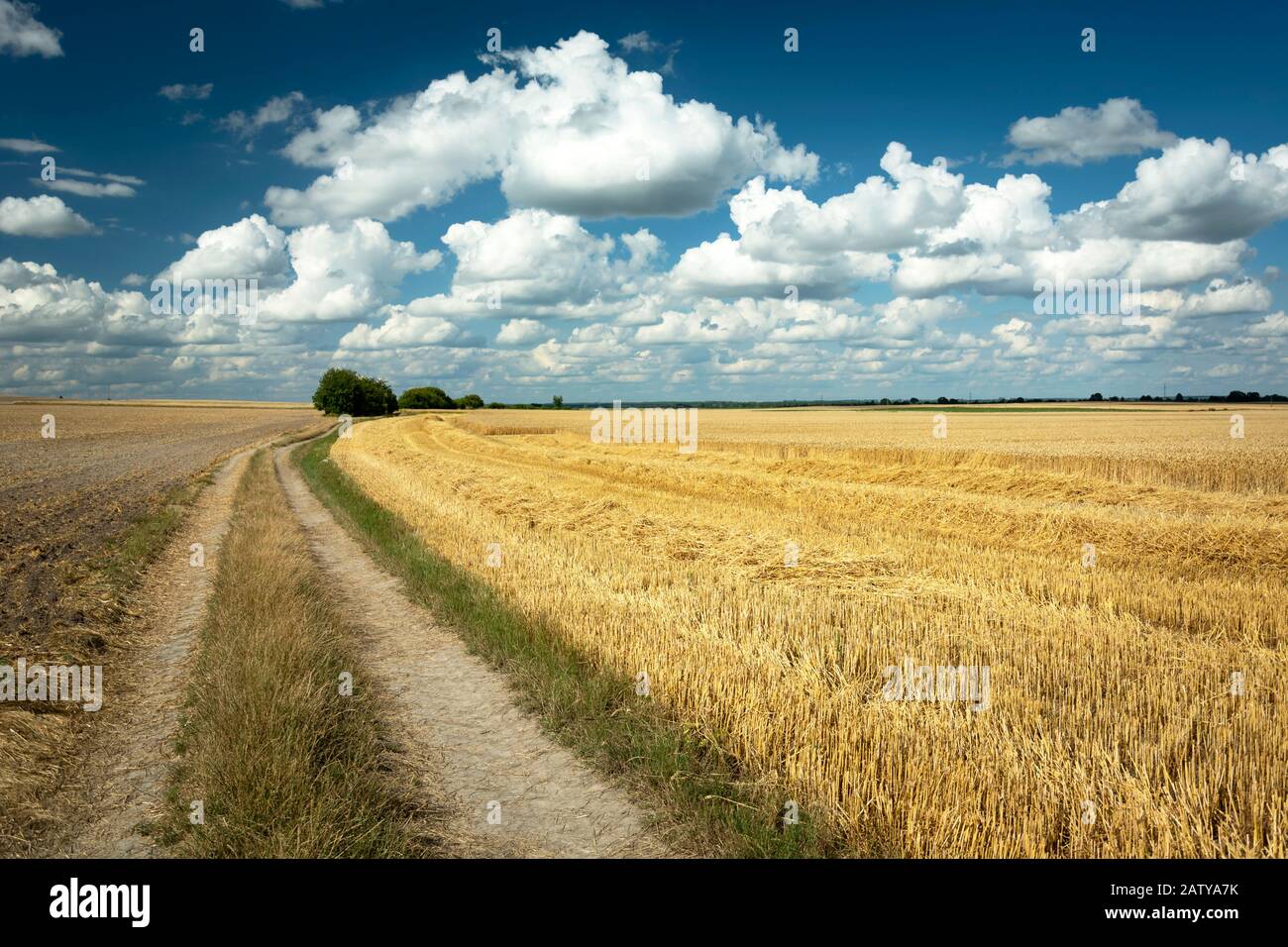 Country road landscape and harvests in the field Stock Photo - Alamy
