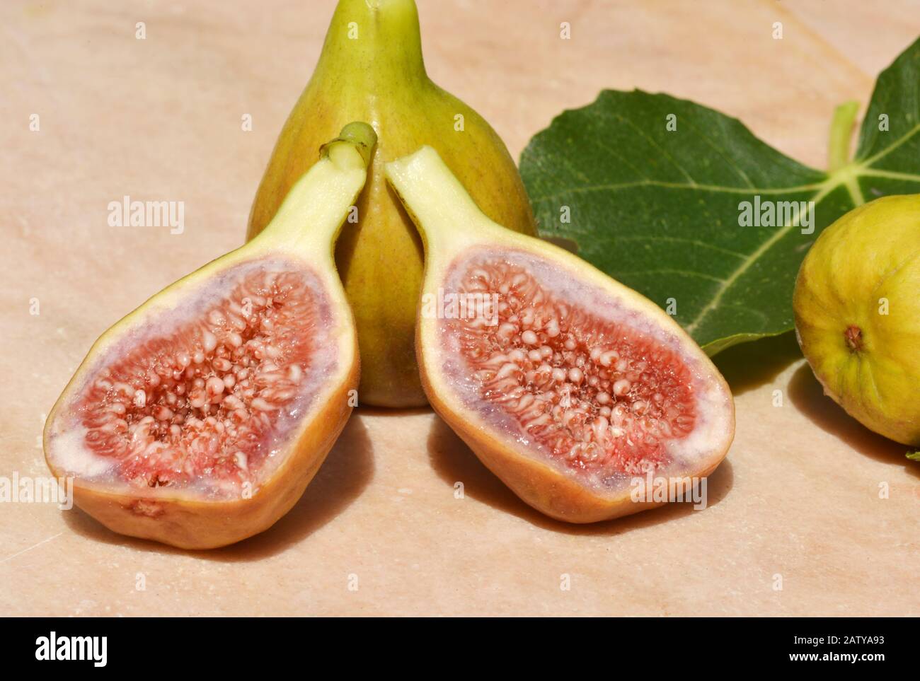 Figue leaf hi-res stock photography and images - Alamy