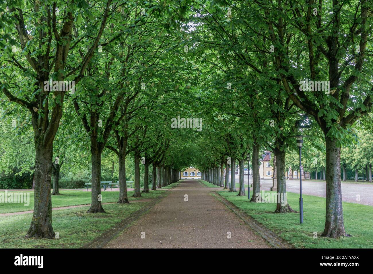 Allee trees hi-res stock photography and images - Alamy