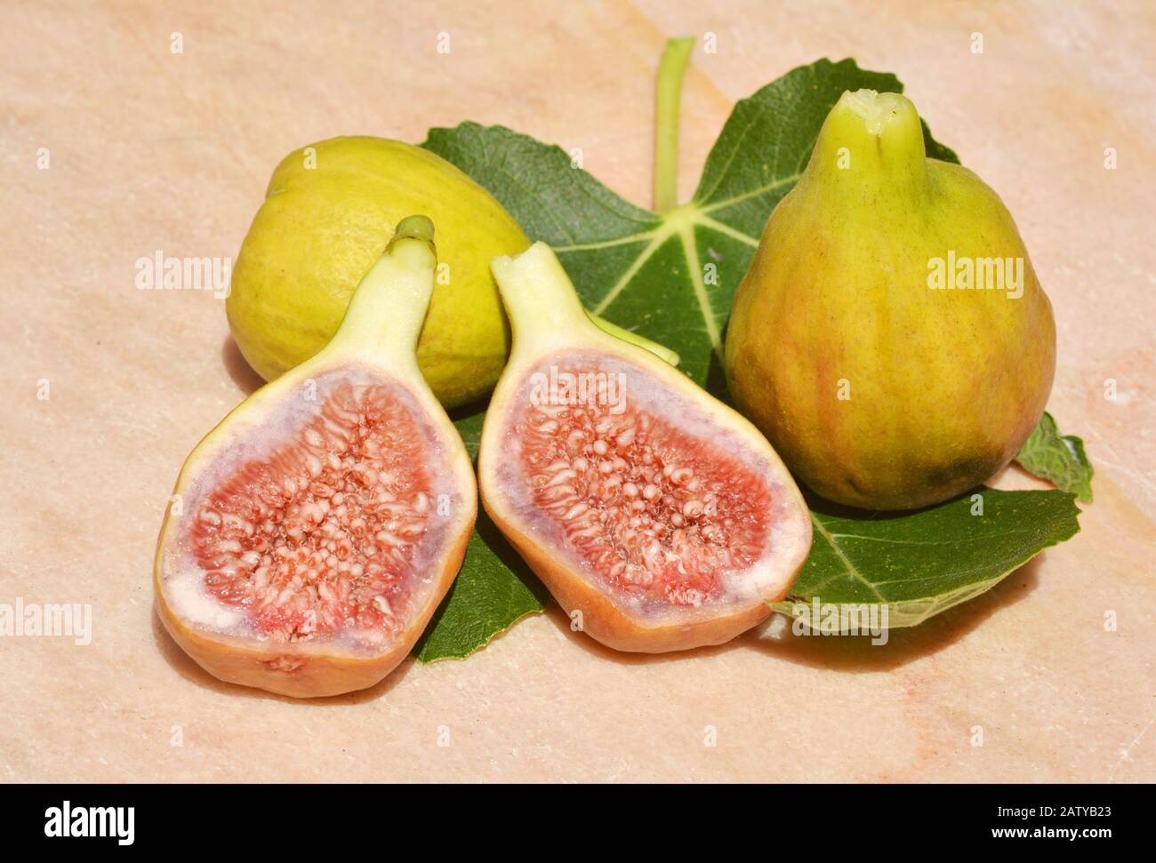 Figue High Resolution Stock Photography And Images Alamy Figue High Resolution Stock Photography And Images Alamy