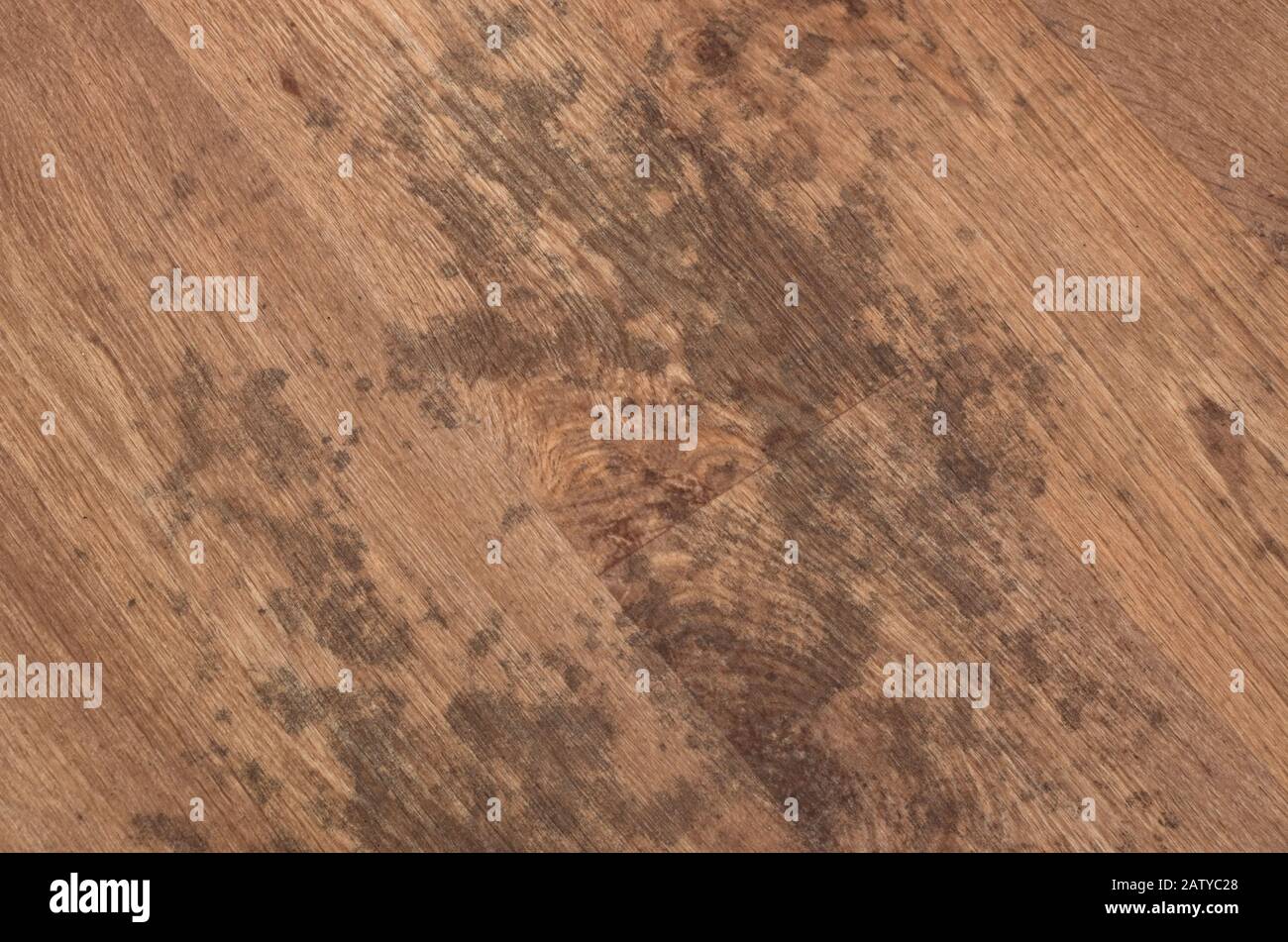 Damp Patches On a Textured Beech Wood Effect Vinyl Floor Stock Photo