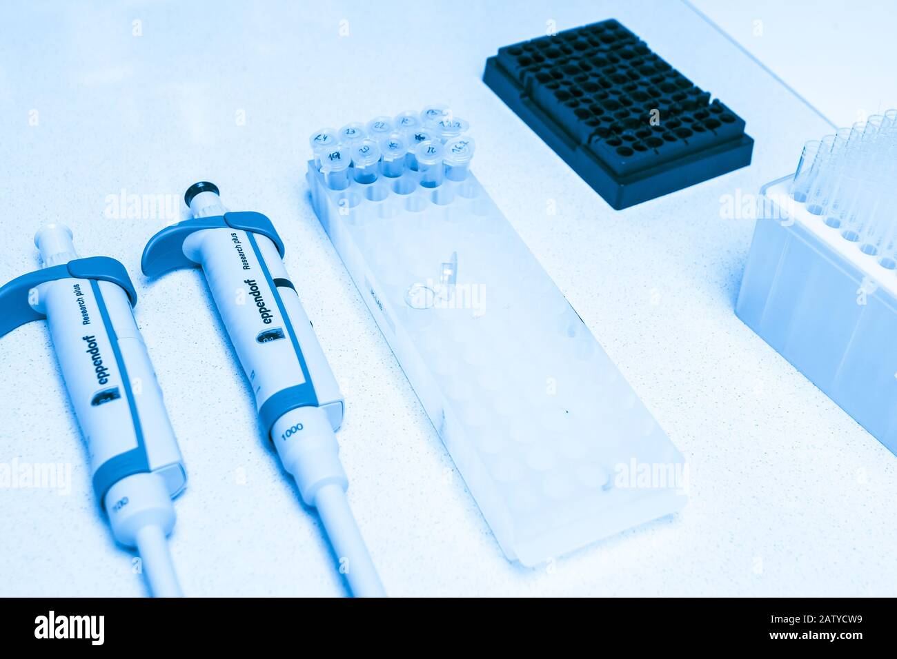 Chemical equipment are on the white background. Automatic pipettes eppendorf and microtube rack on the working surface in the scientific laboratory Stock Photo
