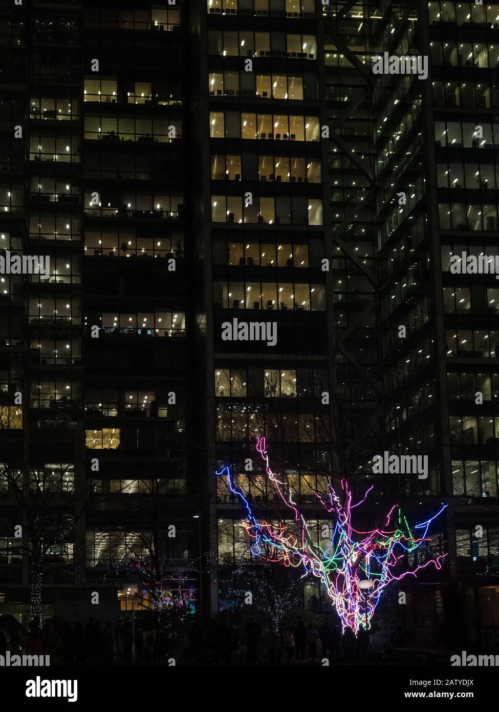 Canada Square Park tree lights in Canary Wharf during Winter Lights 2020 in the dark at night Stock Photo