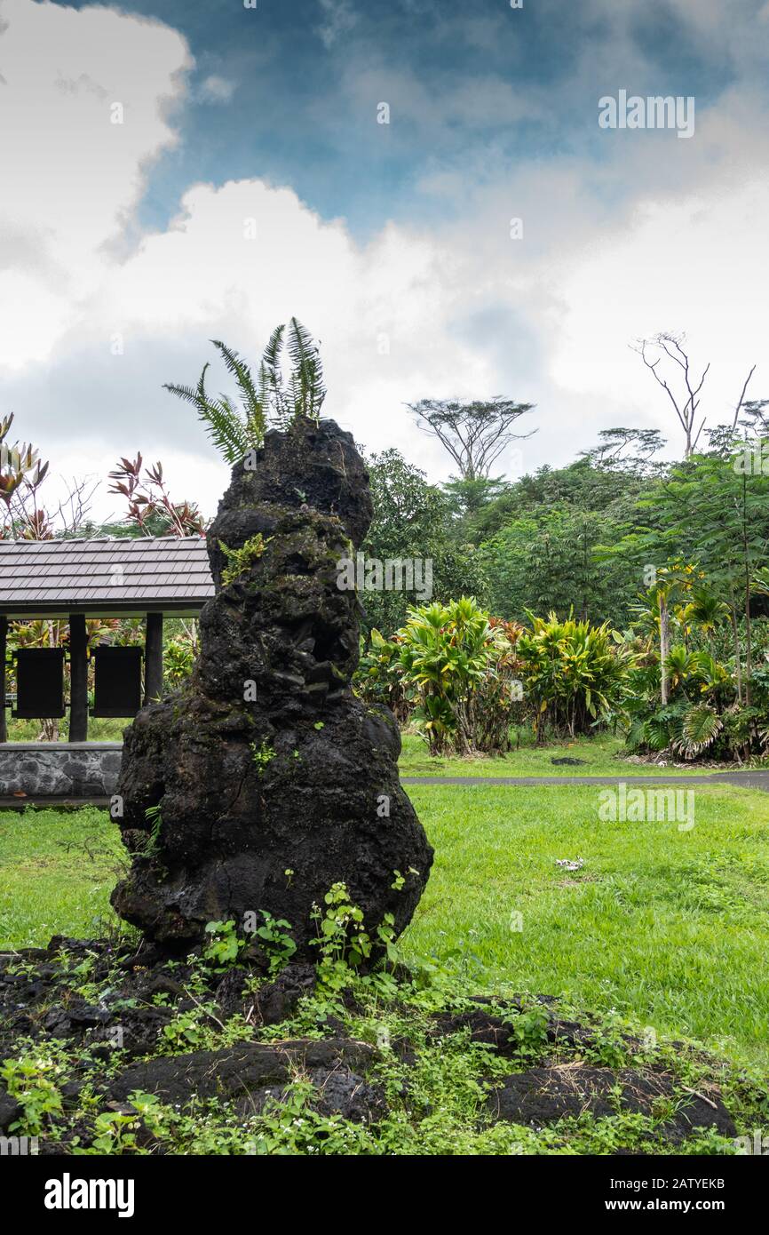 Leilani Estate, Hawaii, USA. January 14, 2020 Centuries old black