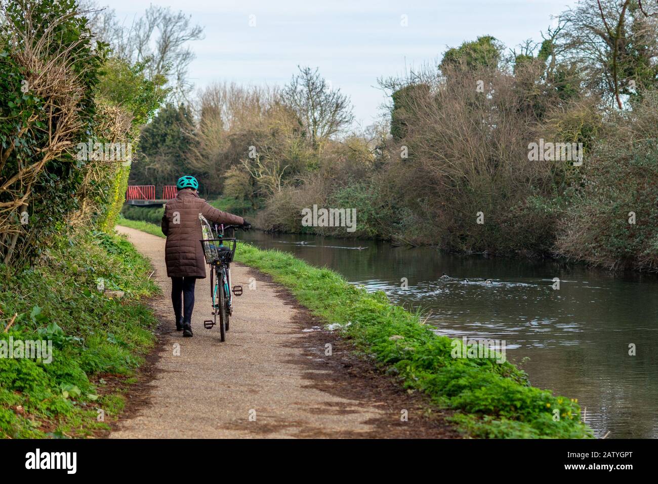 A middle aged woman push a bicycle along a canal towpath Stock Photo