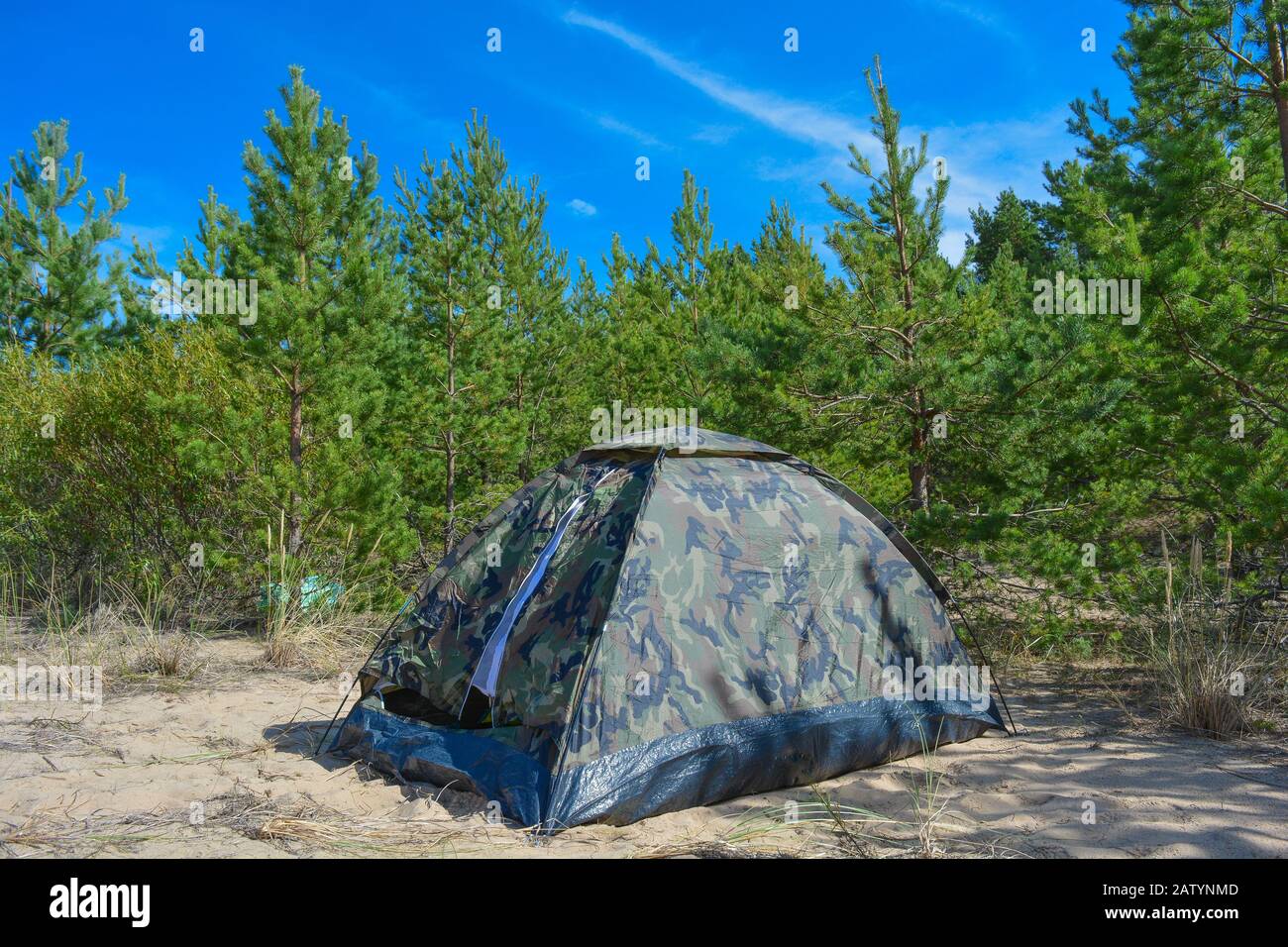 A military tent hidden in a green pine forest near the beach. Brave explorers who make extreme survival their lifestyle. Tourist and hikers layover. Stock Photo