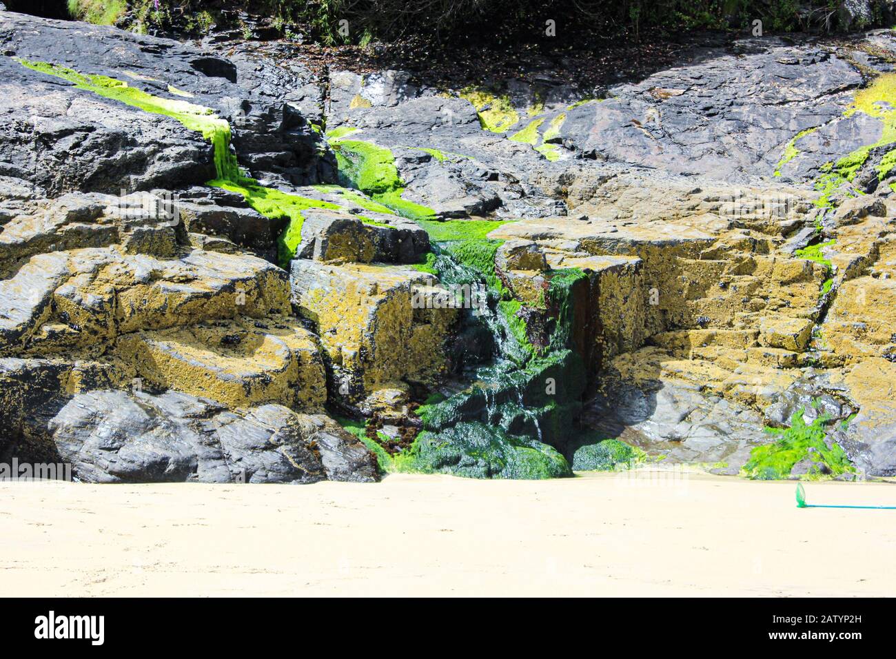 A natural rock waterfall covered in bright green seaweed. Taken in summer, Carbis Bay, Cornwall, England Stock Photo