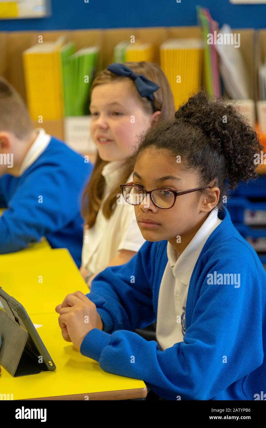 Primary School Children learning online Stock Photo Alamy