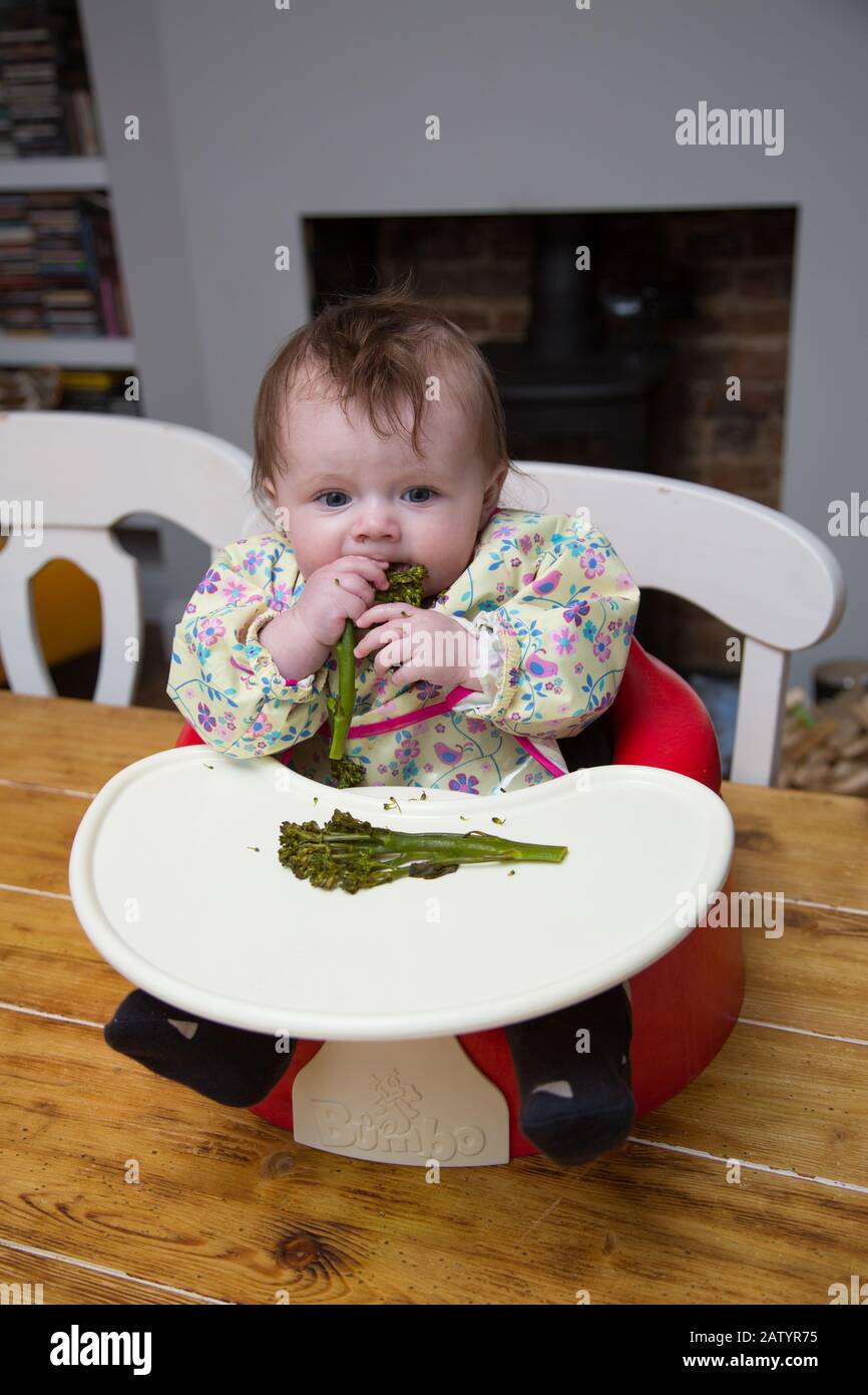 6 month old baby girl baby led weaning Stock Photo - Alamy