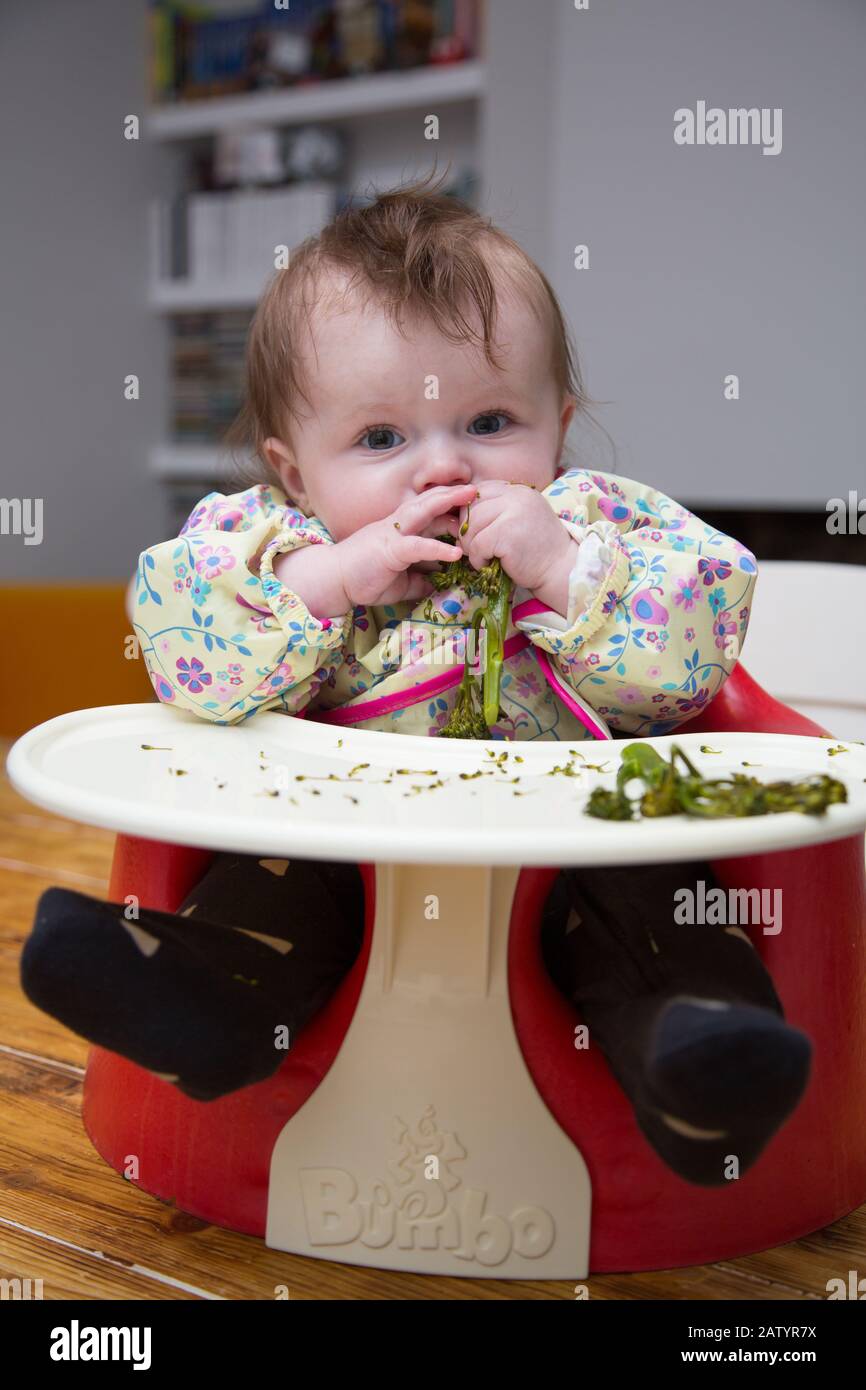 6 month old baby girl baby led weaning Stock Photo - Alamy