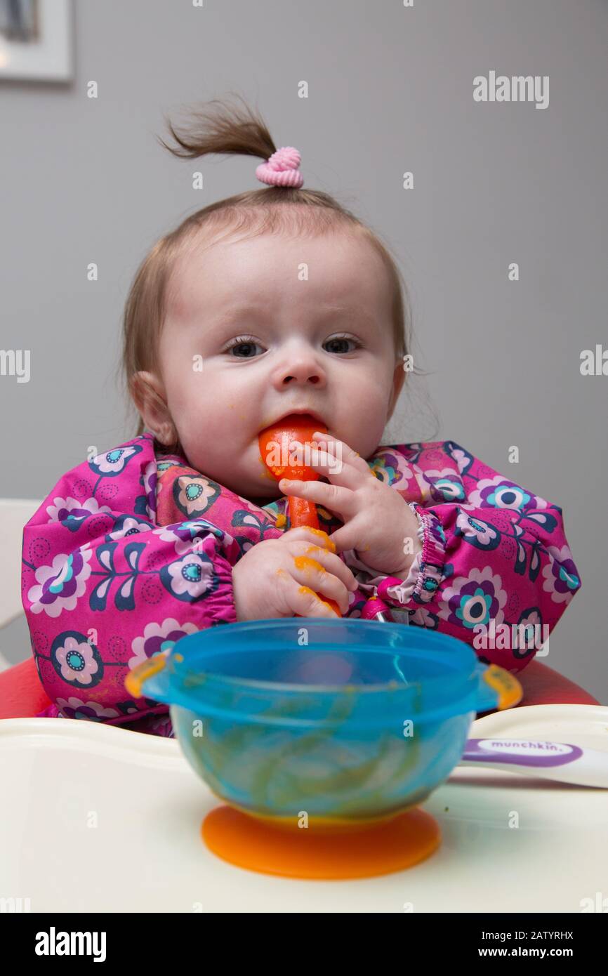 6 month old baby girl being weaned on vegetables Stock Photo Alamy