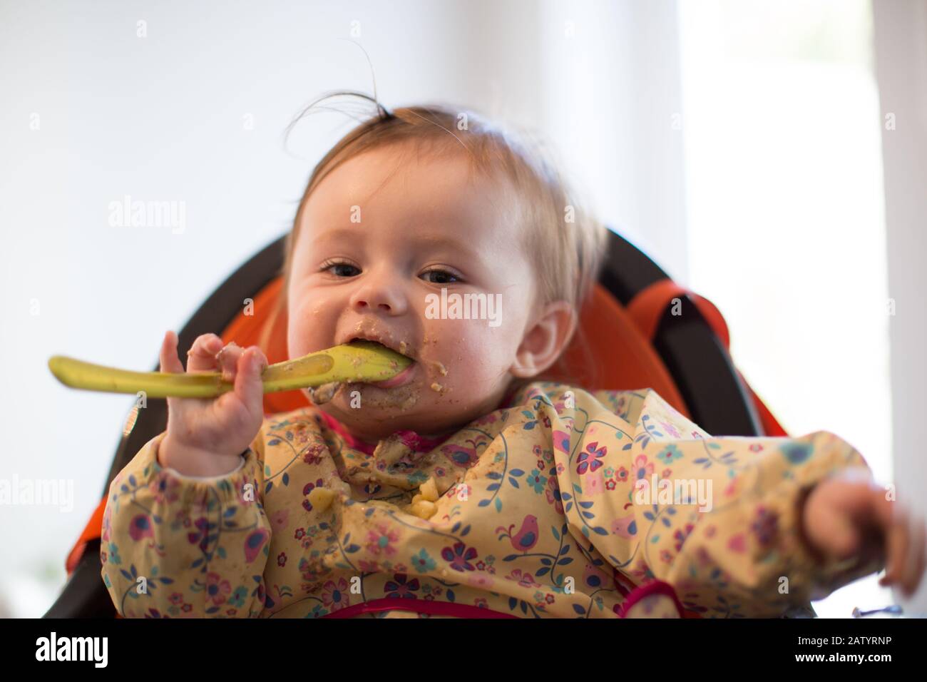 8 month old baby girl eating food Stock Photo