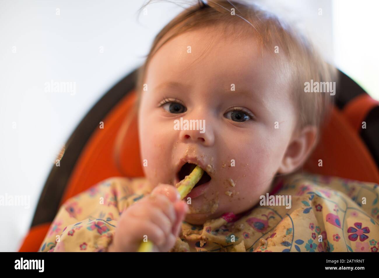 8 month old baby girl eating food Stock Photo - Alamy