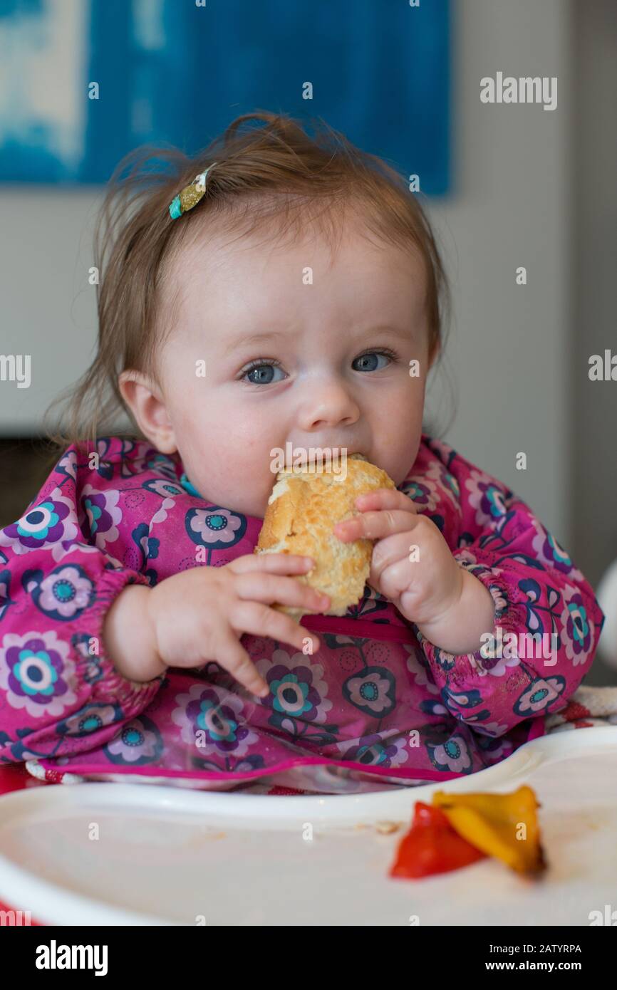 8 month old baby girl eating food Stock Photo Alamy